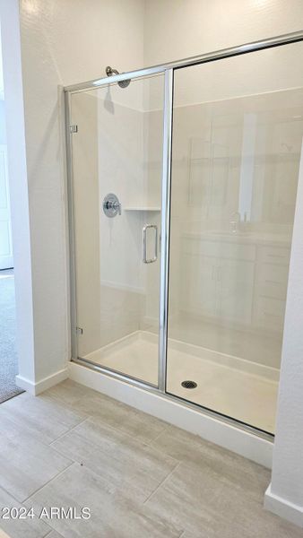 Frontera Lot 189 Primary Bathroom Shower