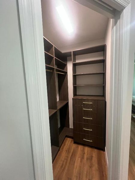Master Closet 1