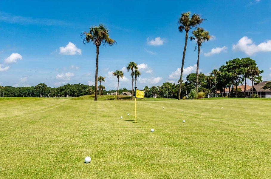 Natural landscape and outdoor views near Charleston Proper in Johns Island (Image 18).