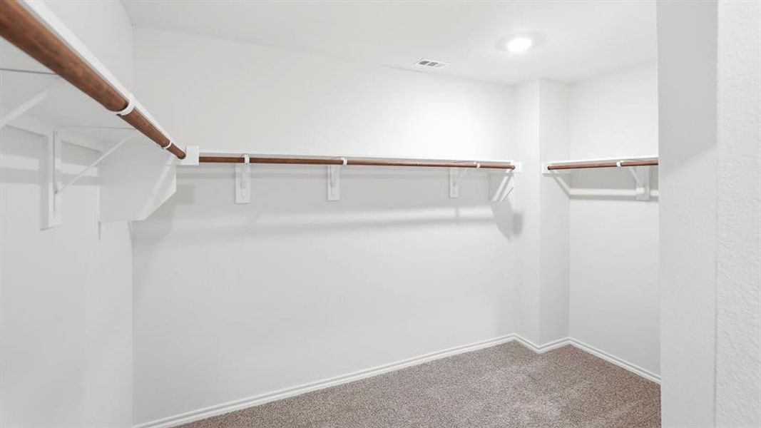 Walk in closet with carpet