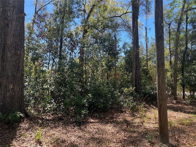 Natural landscape and outdoor views near  in Branford (Image 32).