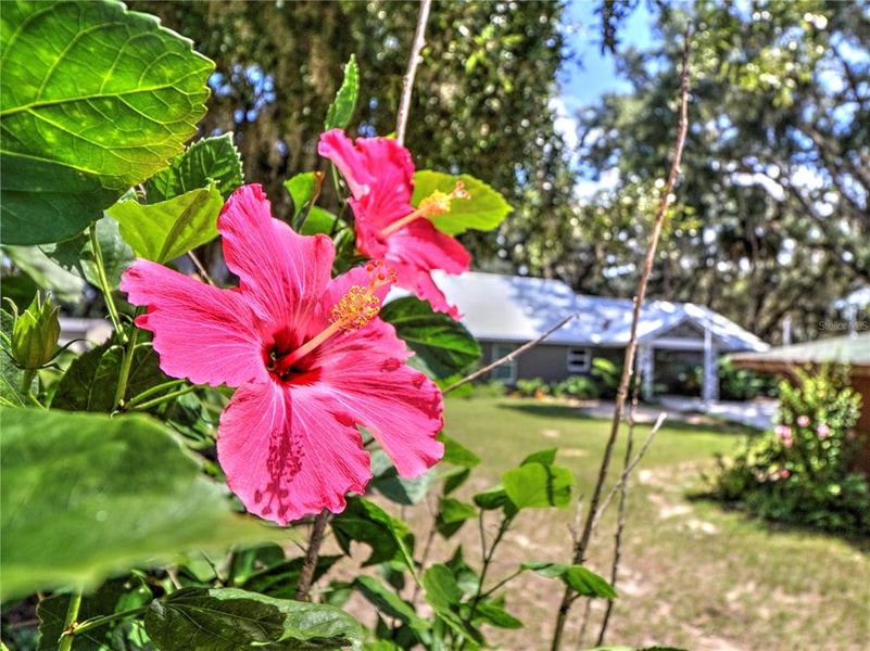 Image 51 of a home in .