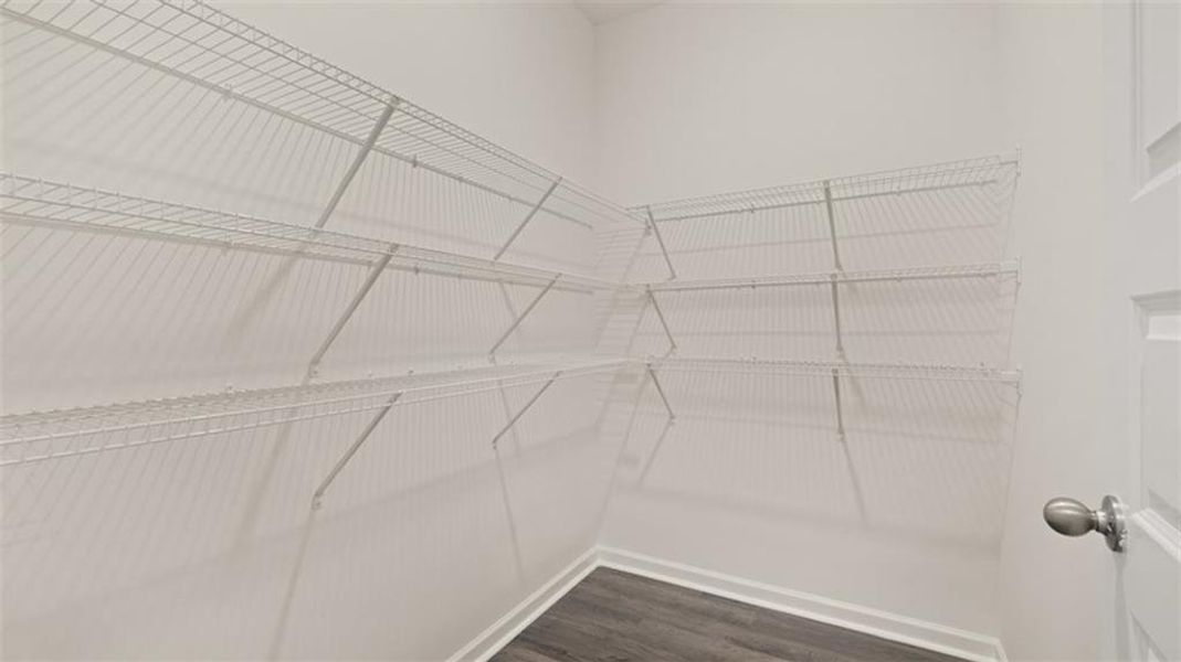 Spacious, unfurnished interior of a new home in Westland, Bogart (Image 28).