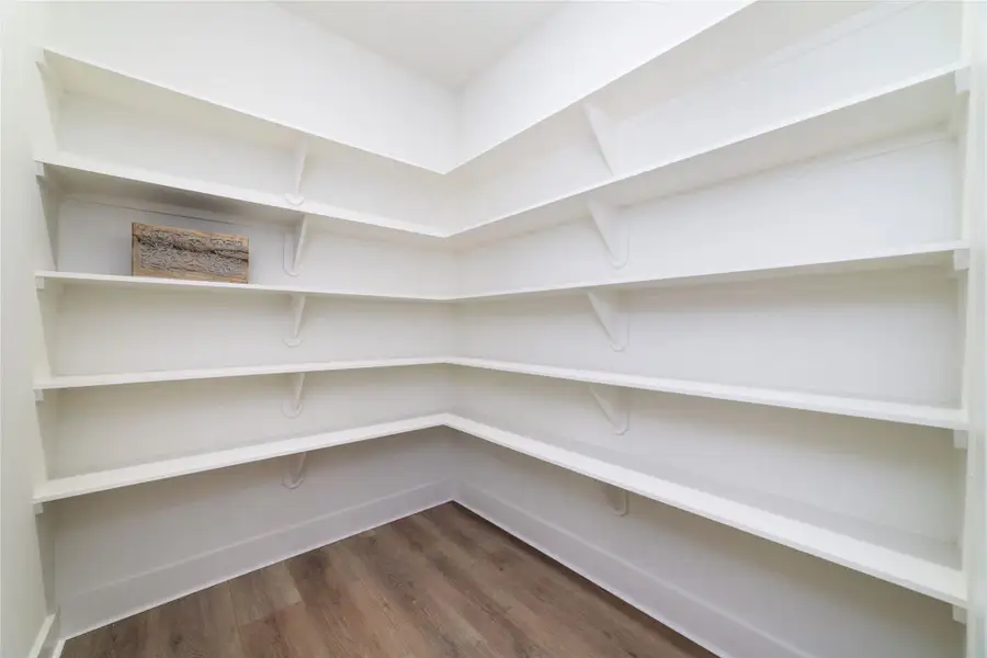 Huge walk-in pantry with pocket door Huge walk-in pantry with pocket door