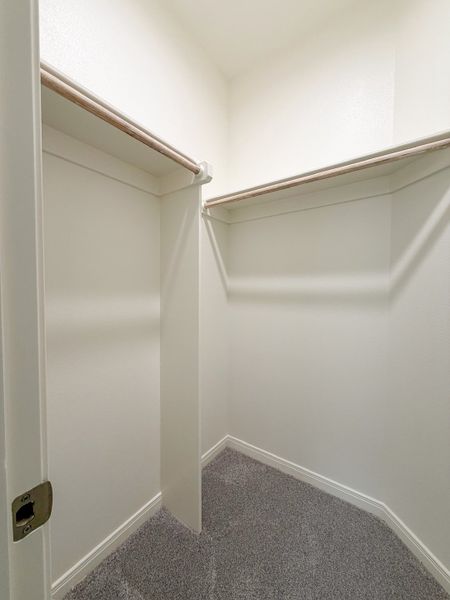 Spacious, unfurnished interior of a new home in TerraVista, Victoria (Image 50).