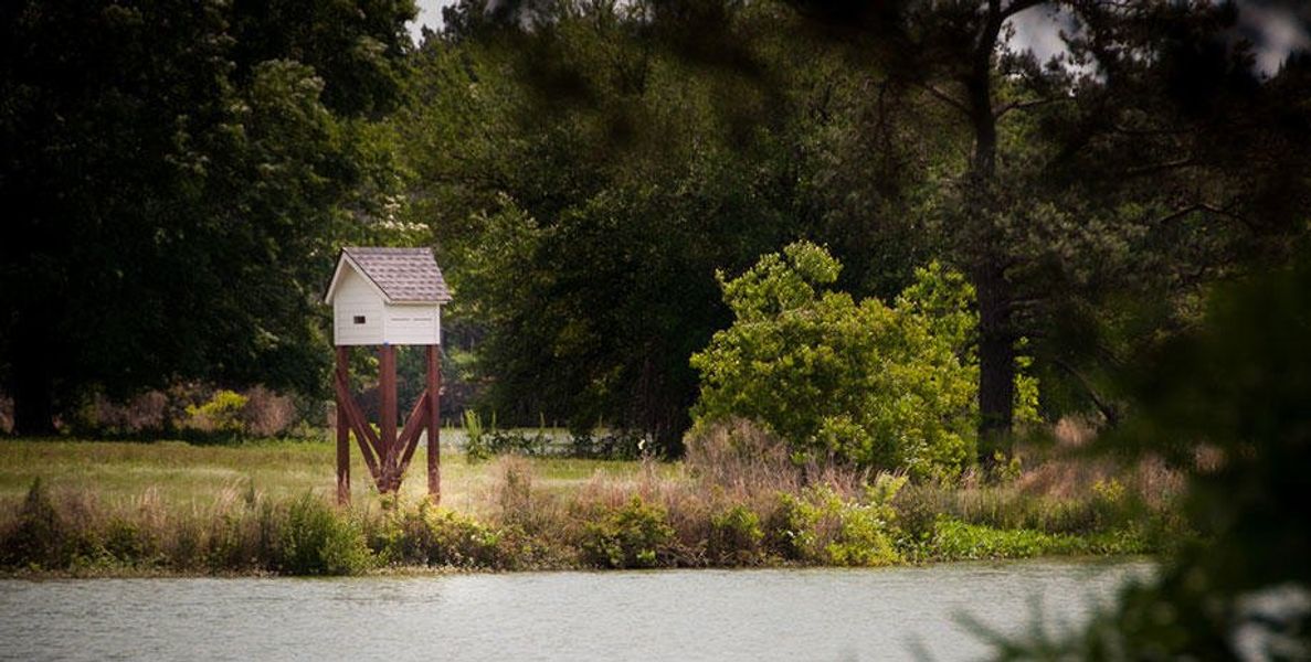 Image 10 of a home in Azalea Ridge at Summers Corner: Arbor Collection. Image 10 of a home in Azalea Ridge at Summers Corner: Arbor Collection.