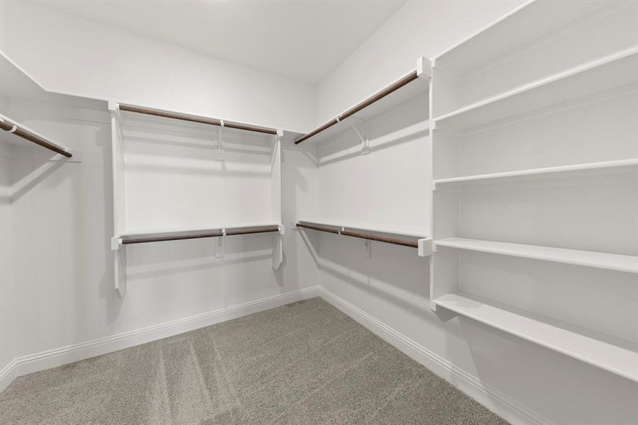 20. 4425 Flower Pot - Closet 20. 4425 Flower Pot - Closet