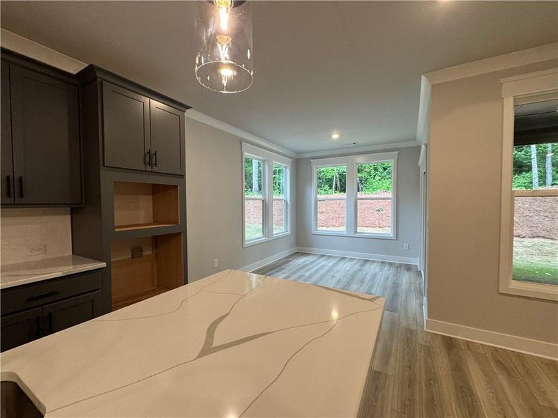 Furnished interior view inside a new home in Rosewood Lake Preserve, Hoschton (Image 6).