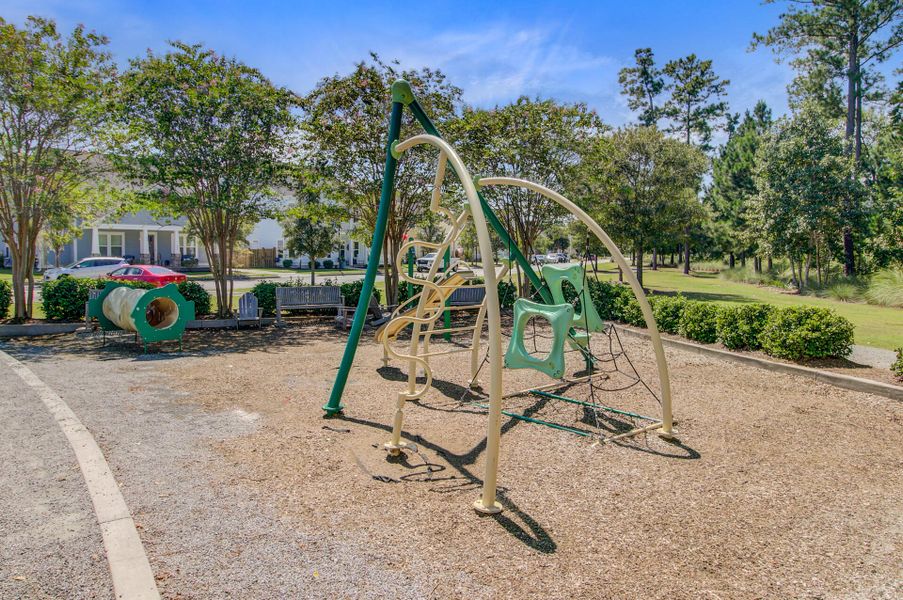 Community amenities in Sweetgrass at Summers Corner, Summerville (Image 57).