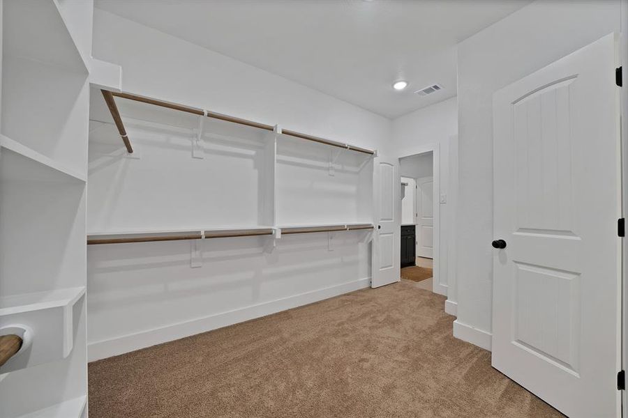 Spacious closet featuring carpet floors