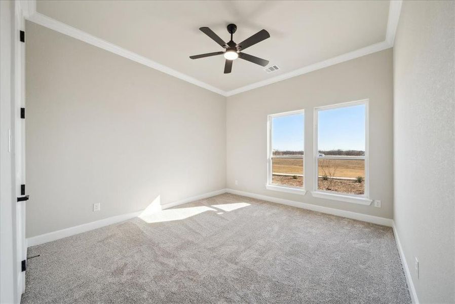 Carpeted spare room featuring crown molding and ceiling fan