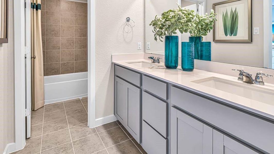 REPRESENTATIVE PHOTO