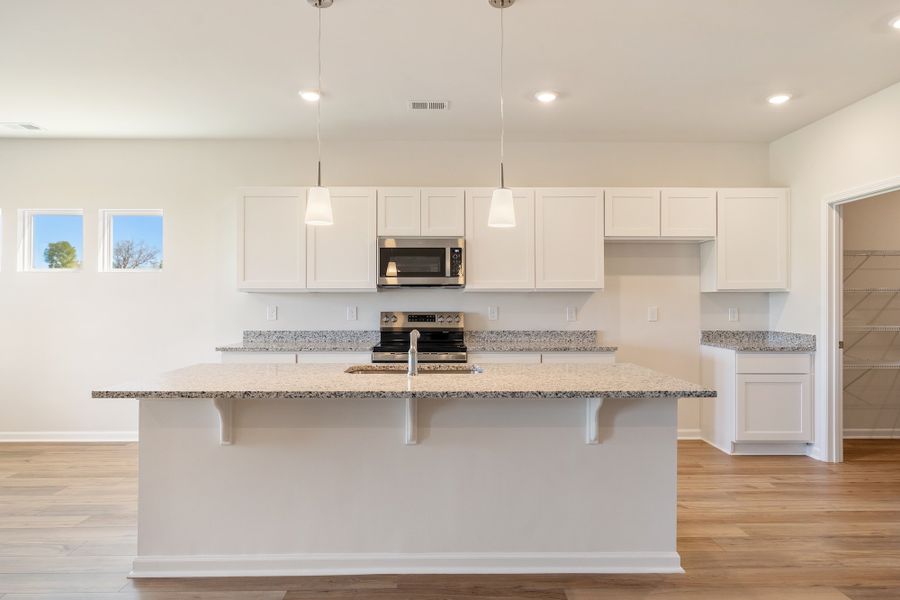 Furnished interior view inside a new home in Radley Place, Chesnee (Image 8).