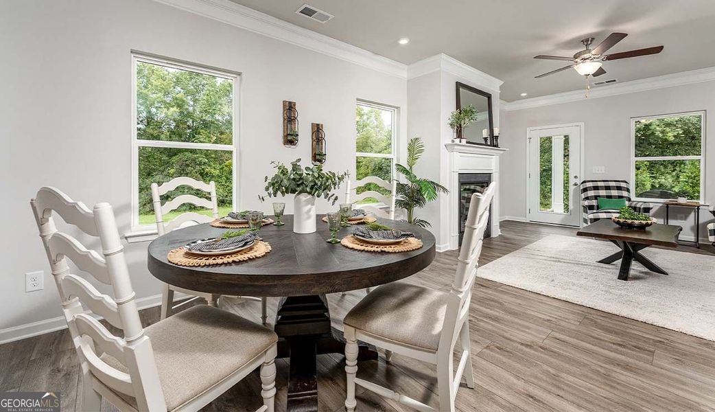 Furnished interior view inside a new home in Bryson Farms, Byron (Image 7).