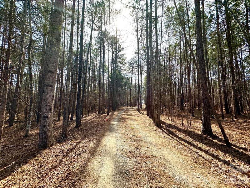 Natural landscape and outdoor views near in York (Image 37). Natural landscape and outdoor views near in York (Image 37).