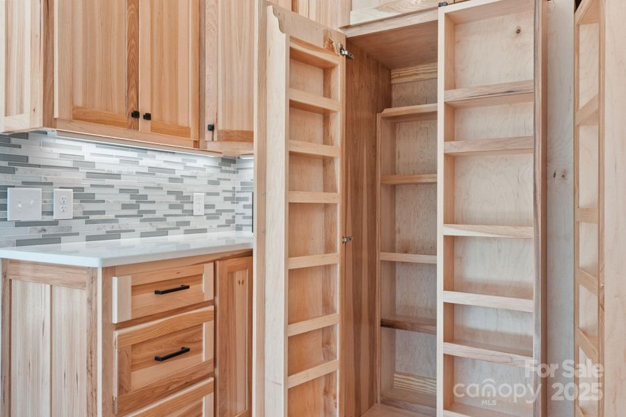 Furnished interior view inside a new home in , Connelly Springs (Image 4).