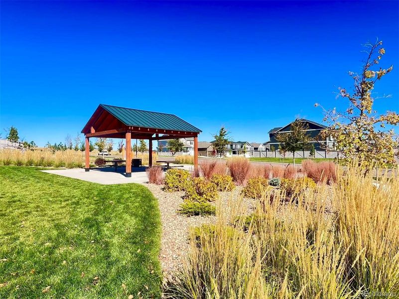 Community amenities in Looking Glass, Parker (Image 30).