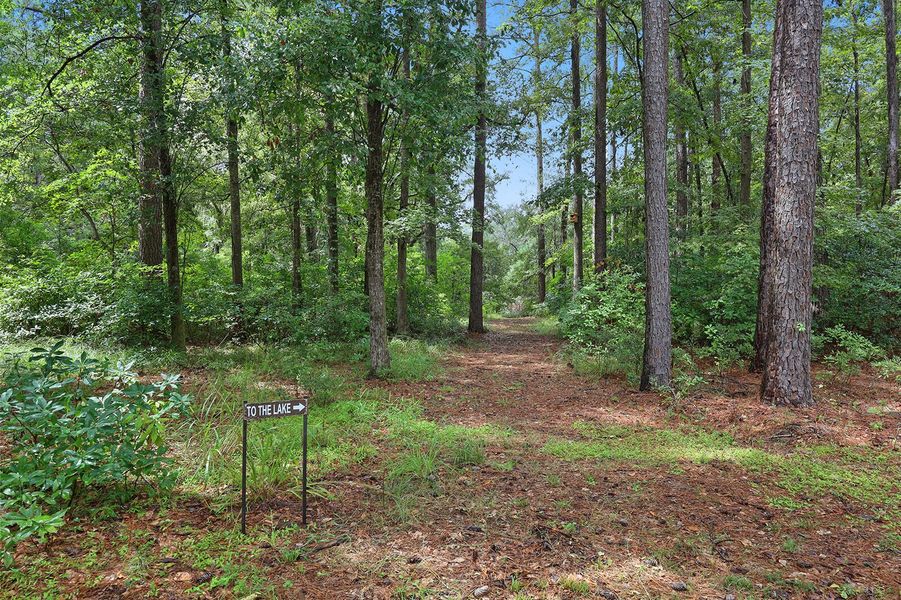 Natural landscape and outdoor views near  in Seabrook (Image 77).
