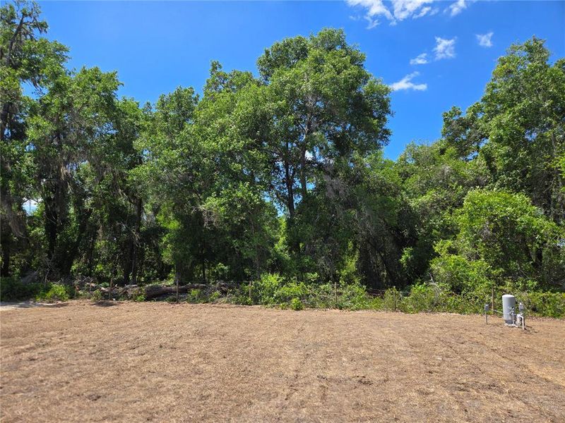 Natural landscape and outdoor views near  in Ocala (Image 22).