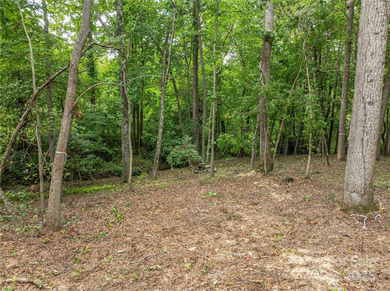 Natural landscape and outdoor views near  in Arden (Image 12).
