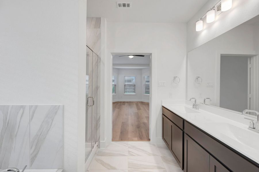 Owner's Bathroom