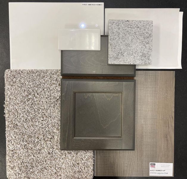 Final Interior Selections 422 Tejas Village Parkway Final Interior Selections 422 Tejas Village Parkway