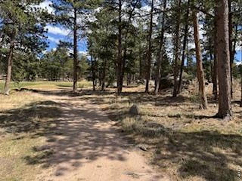 Natural landscape and outdoor views near  in Red Feather Lakes (Image 36).