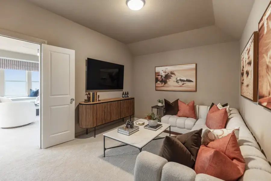 Representative Entertainment Room - some options shown