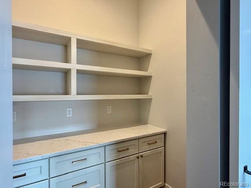 Kitchen pantry with barndoor