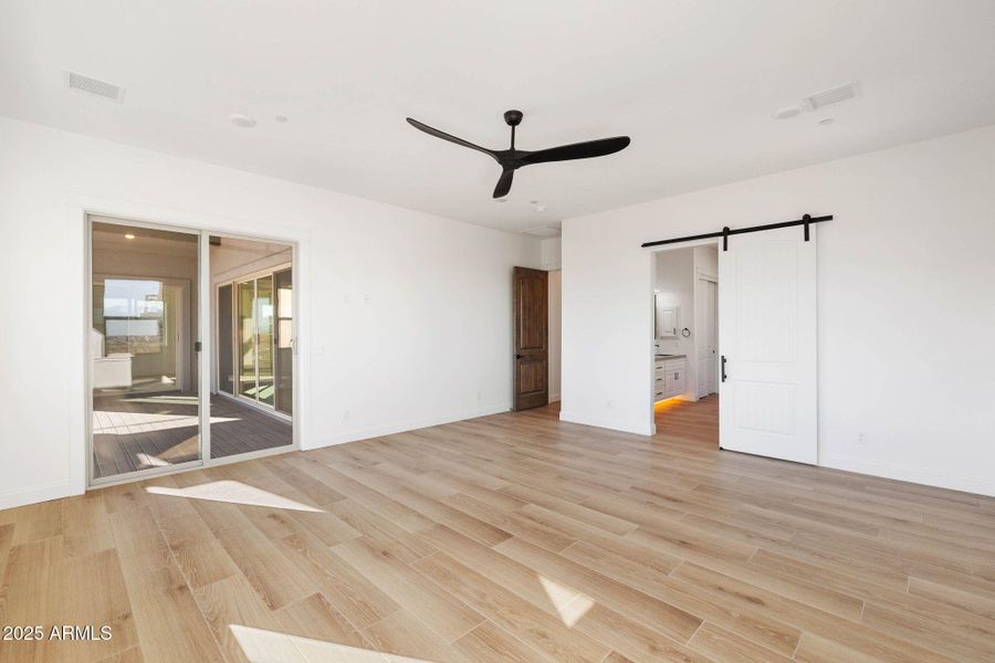Primary with Barn Door