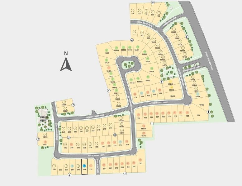 239 Rustic Alder Drive Sitemap 239 Rustic Alder Drive Sitemap
