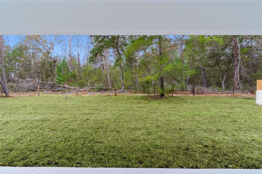 Natural landscape and outdoor views near  in Ocklawaha (Image 30).