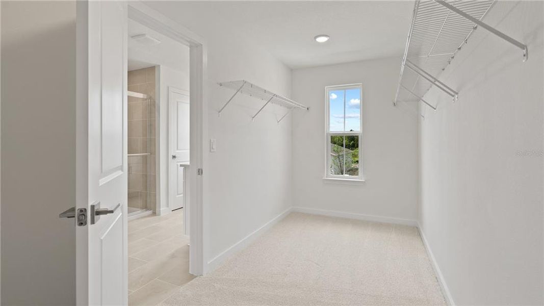 Spacious, unfurnished interior of a new home in Willowbrook North, Winter Haven (Image 30).