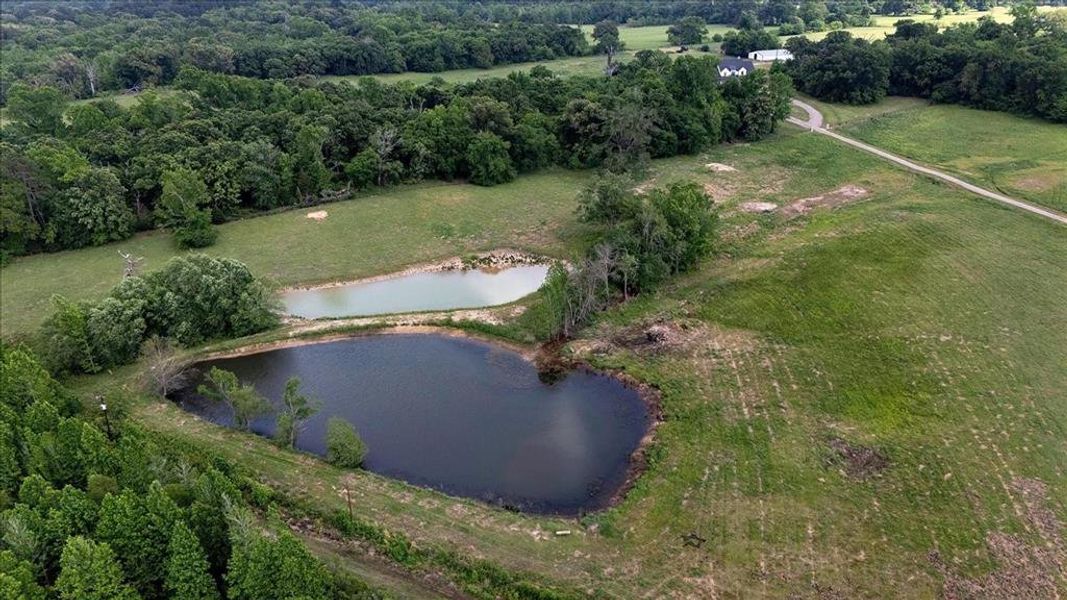 Natural landscape and outdoor views near  in Ben Wheeler (Image 37).
