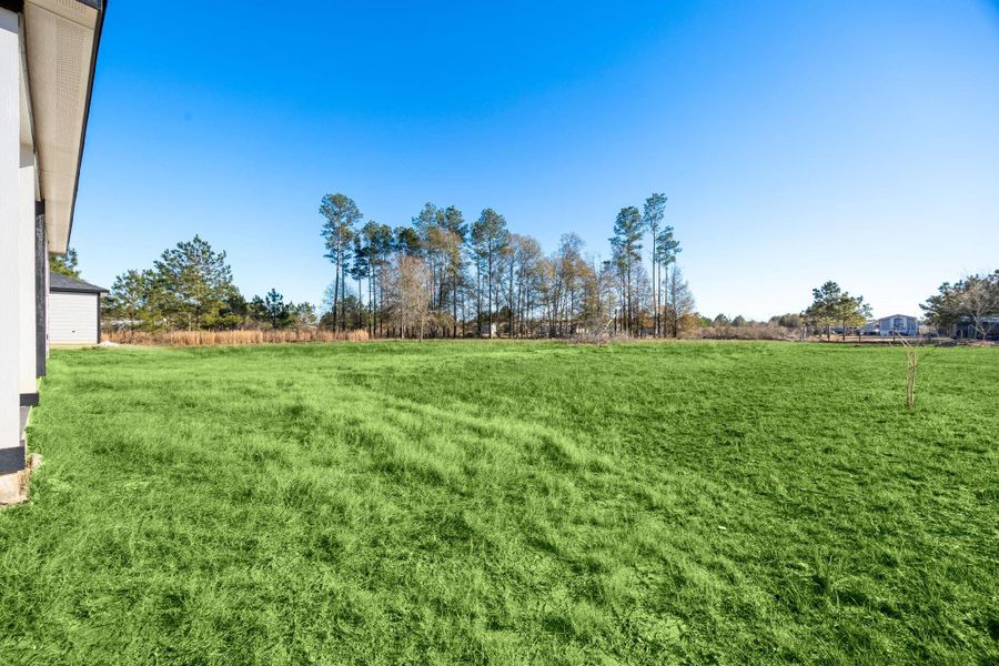 Virtually enhanced yard offers a glimpse of your future outdoor oasis. Virtually enhanced yard offers a glimpse of your future outdoor oasis.