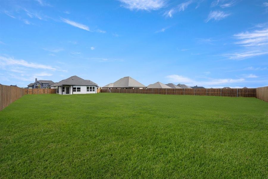 22_121 Grey wolf- Back-1