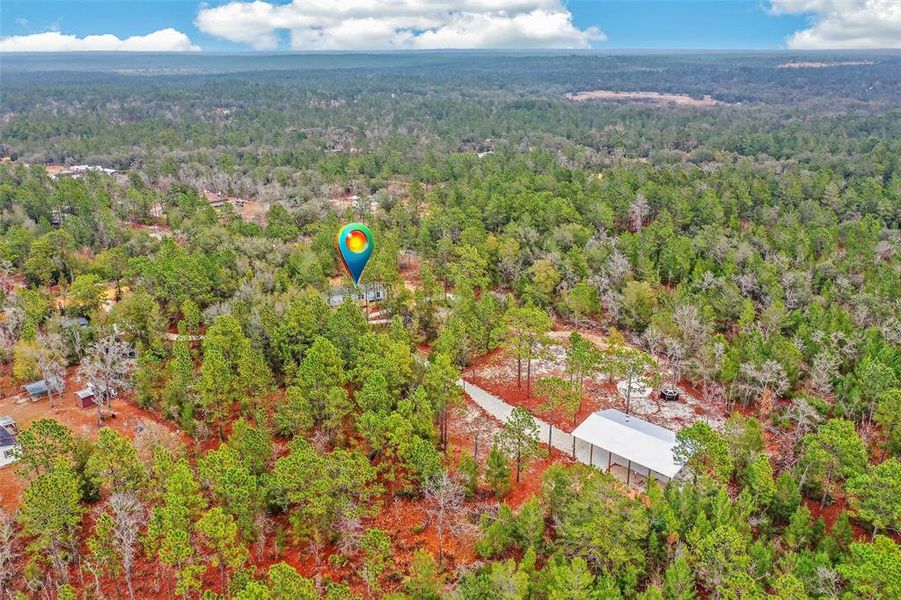 Natural landscape and outdoor views near  in Interlachen (Image 56).
