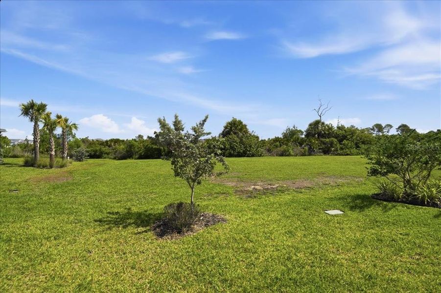 Natural landscape and outdoor views near  in Venice (Image 46).