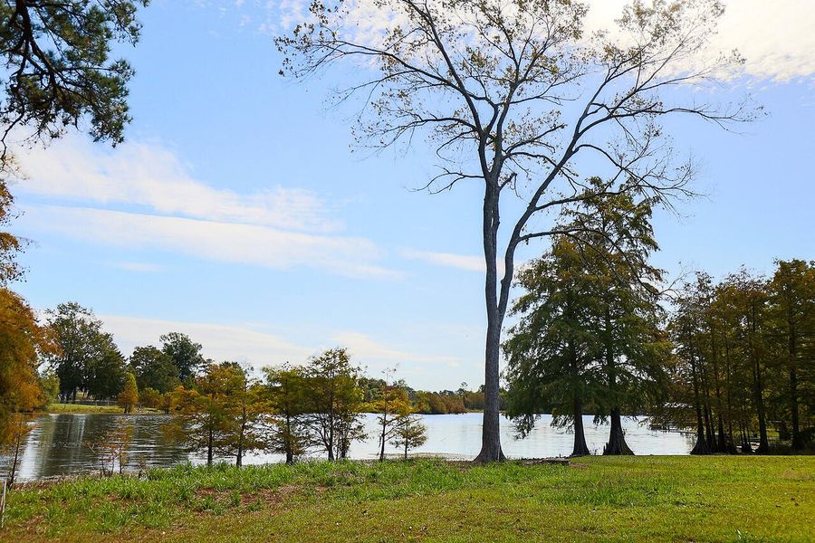 Natural landscape and outdoor views near  in Manning (Image 28).