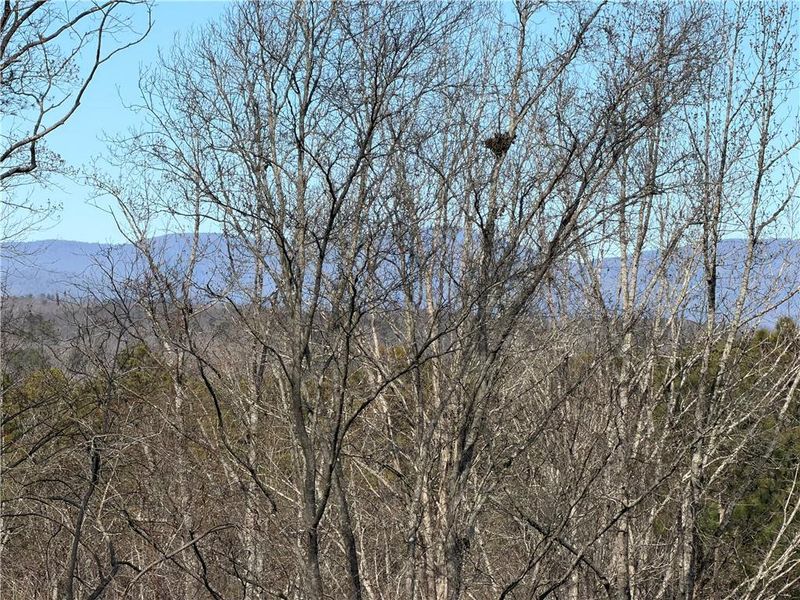 Natural landscape and outdoor views near  in Ellijay (Image 48).