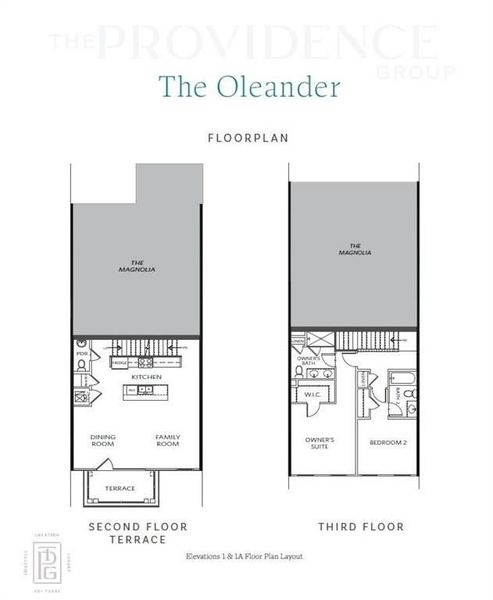 The Oleander Plan