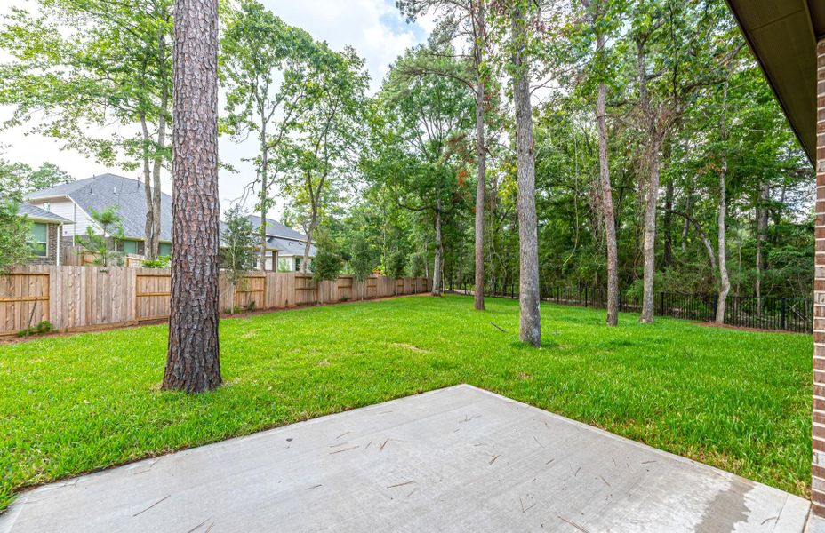 **Representative Photo** **Representative Photo**