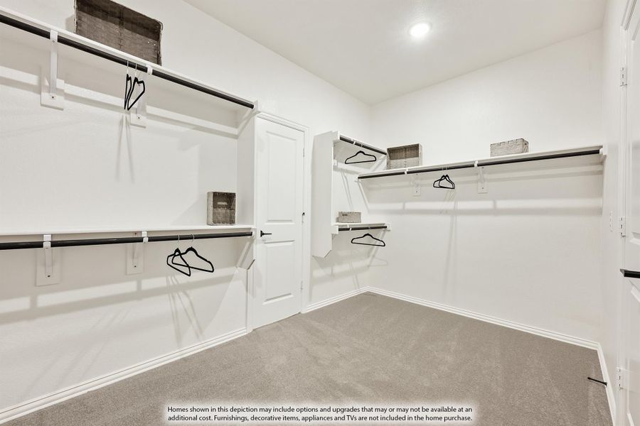Spacious walk-in closet with white shelving, multiple clothing rods, and neutral carpet flooring
