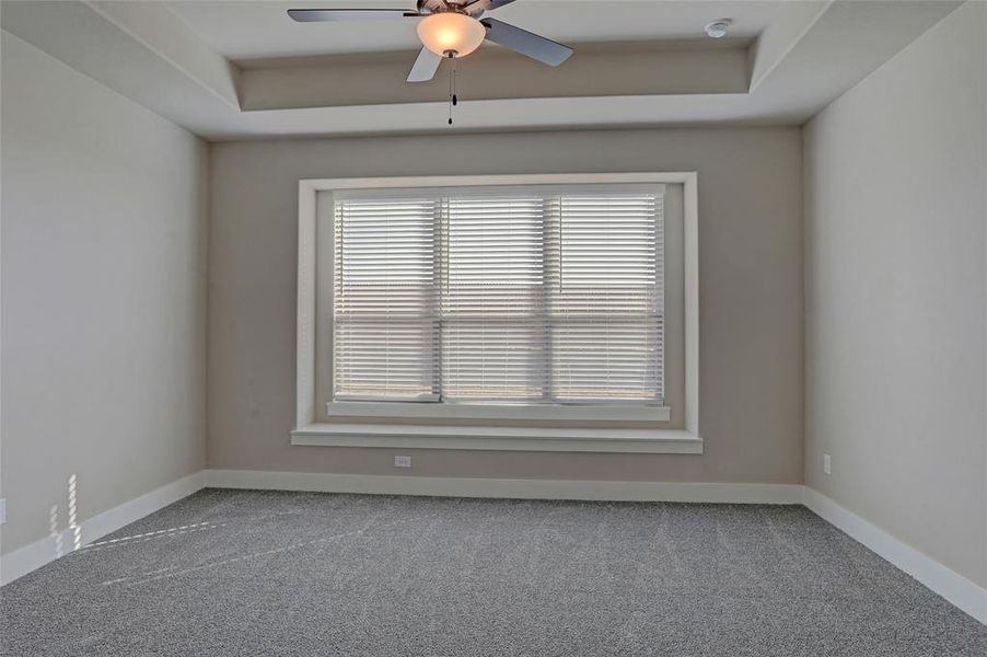 Carpeted empty room featuring plenty of natural light, a raised ceiling, and ceiling fan