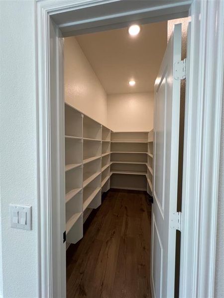 Over-sized walk-in pantry with recessed lighting Over-sized walk-in pantry with recessed lighting