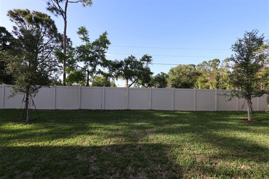 Exterior details and patio area of a home in Hawk's Overlook, Oviedo (Image 4).
