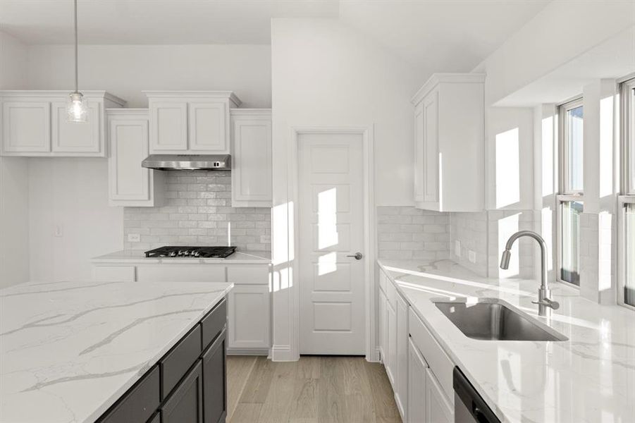 08_2111 Hibiscus, Melissa TX