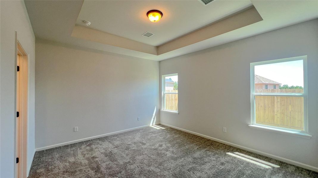 The Blue Jay II- Primary Bedroom Suite with Tray Ceiling