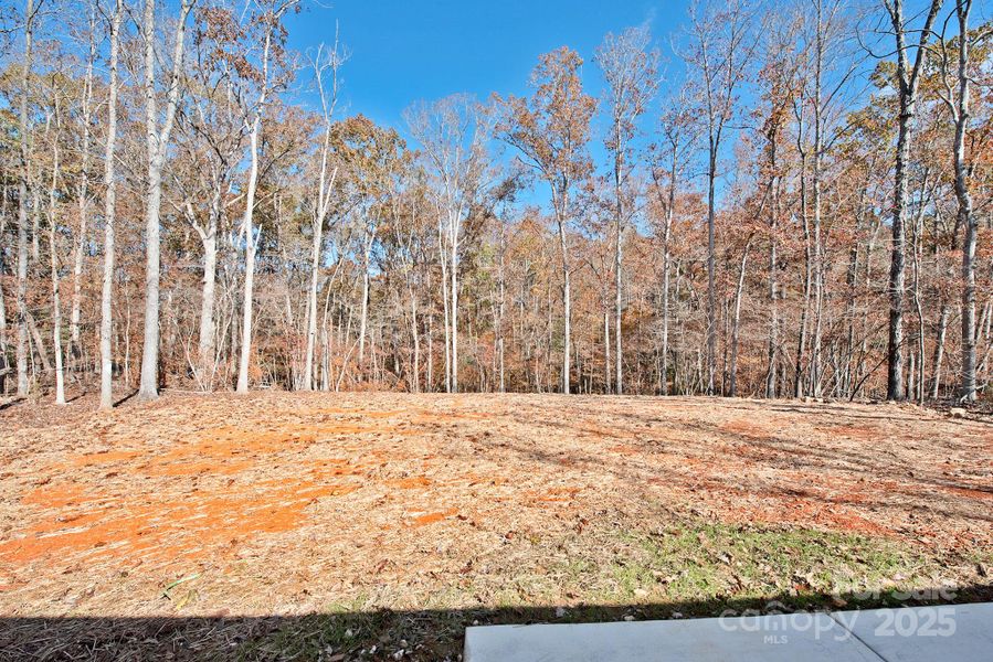 Site preparation for new homesites in , Mount Gilead (Image 30).