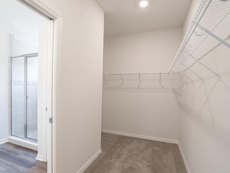 And, all three suites include walk-in wardrobes - Everly by Highland Homes